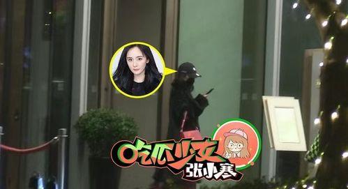 娱乐圈吃瓜少女张小寒