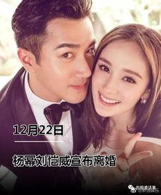 娱乐圈吃瓜千金,揭秘明星背后的故事