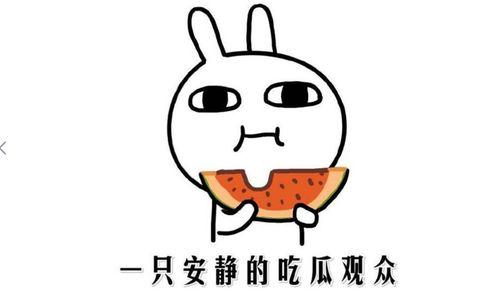 网友吃瓜什么意思啊,网络热词背后的文化现象