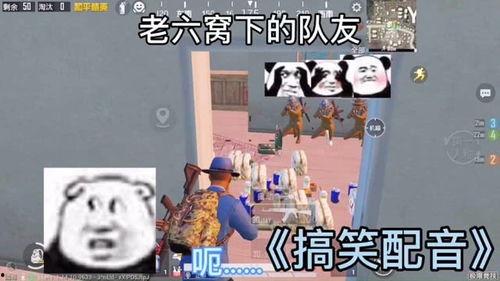 吃瓜娱乐配音制作工具,轻松打造专属趣味配音，畅享欢乐时光！