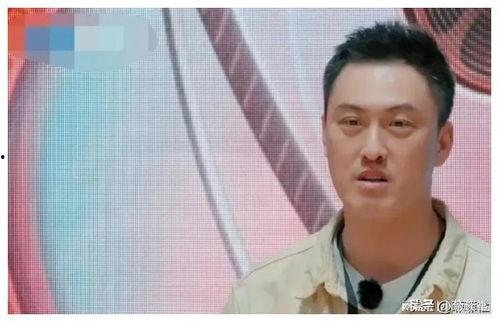 娱乐圈吃瓜爆料天选之人,揭秘天选之人的璀璨人生